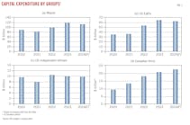 Capital expenditure by groups. 