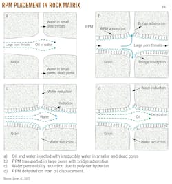 RPM Placement in Rock Matrix (Fig. 1)