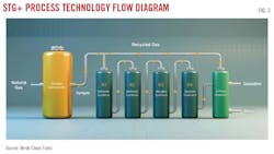 STG+ Process Technology Flow Diagram (Fig. 2).
