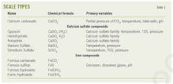 Scale Types (Table 1).