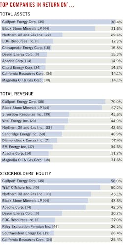 Top Companies in Return On...