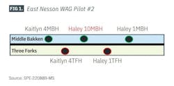 FIG 1. East Nesson WAG Pilot #2