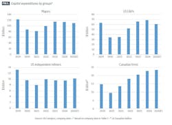 Capital expenditures by groups (Fig. 1)