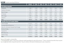 Capital spending (Table 1 cont'd)