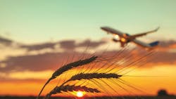 67ec5378d1048b34dca548ff Shutterstock 2499941695