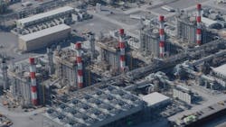 68237d13c13b498594e562a6 Vg Plant 1