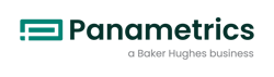 1745949664___panametrics_lg_tl_hrz_rgb_pos